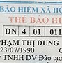 Bảo Hiểm Xã Hội Việt Nam Tra Cứu Trực Tuyến