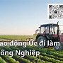 Công Việc Làm Nông Ở Úc