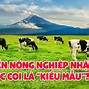 Đại Lý Máy Nông Nghiệp Máy Nhật Bãi