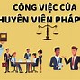 Đội Pháp Chế Là Gì