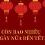 Tháng 3 Dương Năm 2024 Có Bao Nhiêu Ngày